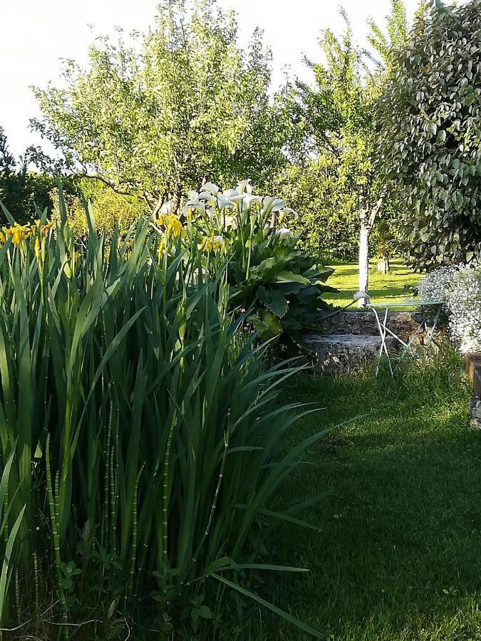 Bed and Breakfast La Cle Du Puy Cabariot Екстер'єр фото