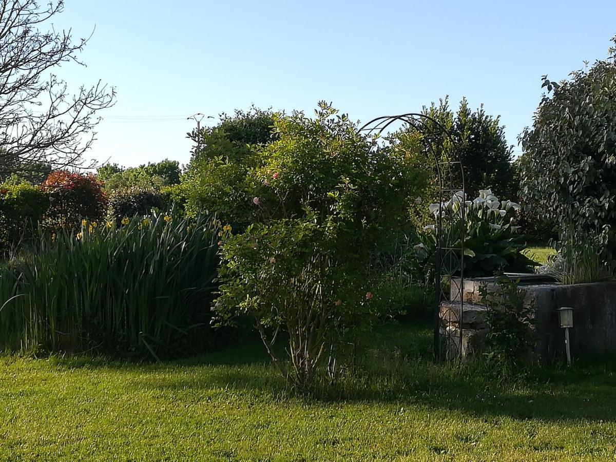 Bed and Breakfast La Cle Du Puy Cabariot Екстер'єр фото